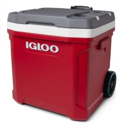 Koelbox Igloo Latitude 60 Roller Red 2021 21 Koelbox Igloo Latitude 60 Roller Red 2021 -NL Kampeeruitrusting Verkoop 2024 00034749 h1