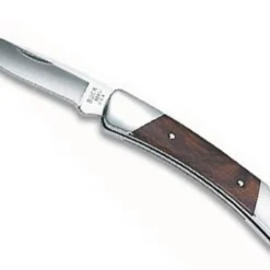 Vouwmes Prince Bruin Buck