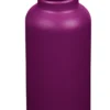 Reisfles Klean Kanteen Classic Purple Potion 800 Ml -NL Kampeeruitrusting Verkoop 2024 K27CPPS PP