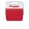 Koelbox Igloo Playmate Pal Red -NL Kampeeruitrusting Verkoop 2024 Koelbox Igloo Playmate Pal Rood