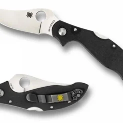 Vouwmes Spyderco Small Persian Folder 2