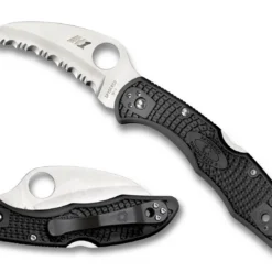 Vouwmes Spyderco Tasman Salt 2 Serrated Black
