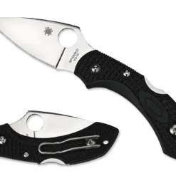 Vouwmes Spyderco Dragonfly 2