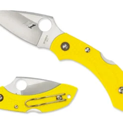 Vouwmes Spyderco Dragonfly 2 Salt